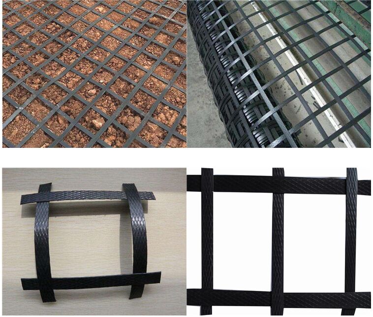 PP��������������ŏS��