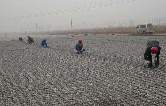 ������ŵĻ��A���O